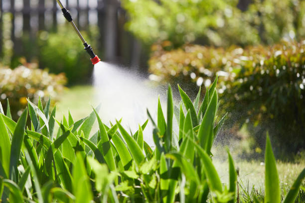 24/7 Emergency Mosquito Control experts in Indiana, IN